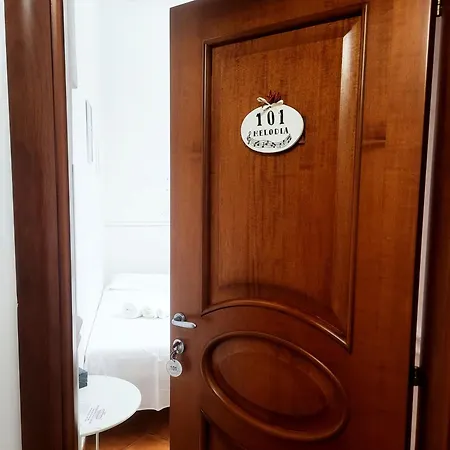 Harmonia Partenopea Guest house Naples